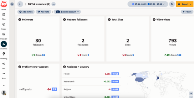 TikTok overview analytics